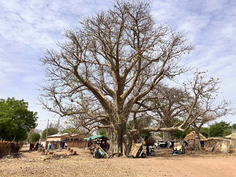 A Pentecost Celebration in Senegal