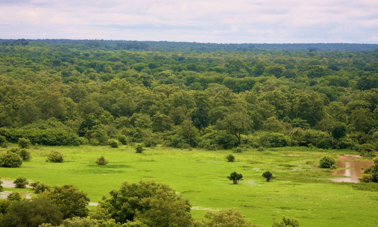pixabay image of ghana